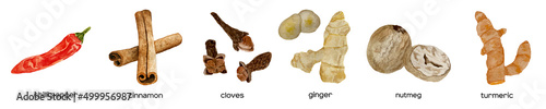 Watercolor fresh kitchen spices: pepper, chili, curcuma, ginger, cardamom, nutmeg