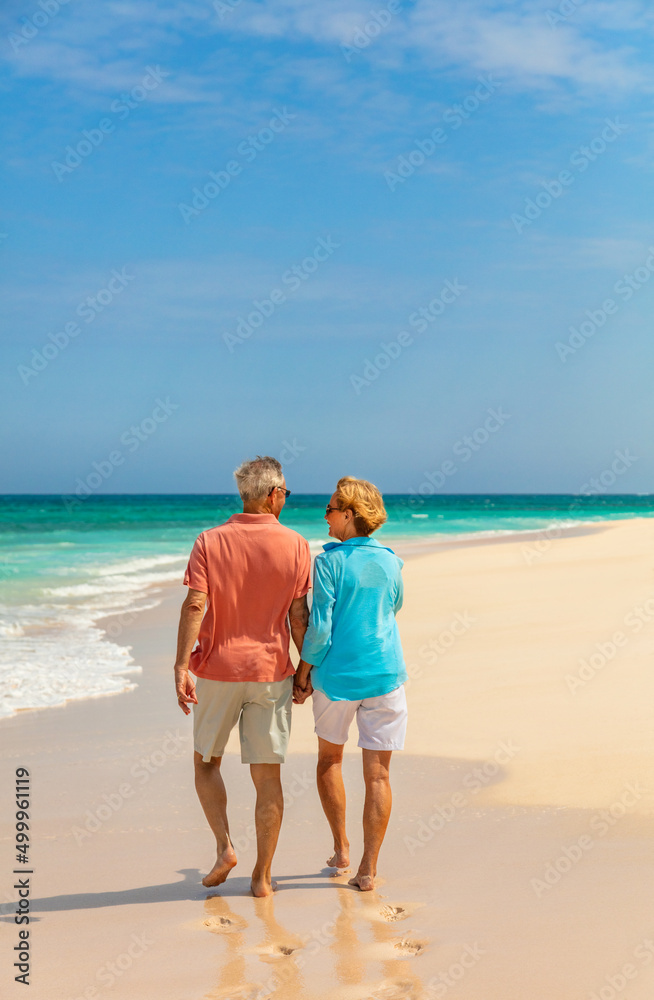 Loving retired couple walking together barefoot on beach