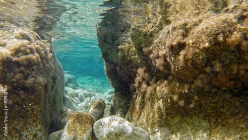 Underwater Shot Of Paralia Emplisi's Crysta Beachl Water And Rocky Surface photo