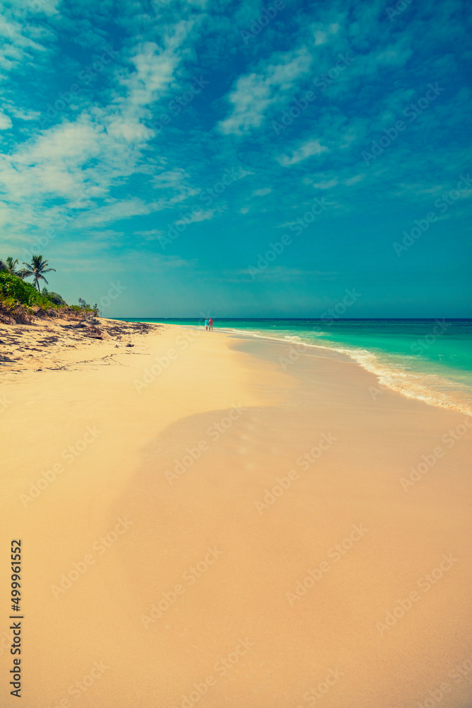 Tropical island coast with white sandy beach Bahamas