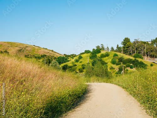 Landscape of grass, mountains, greens, hills , and the city of Los Angeles