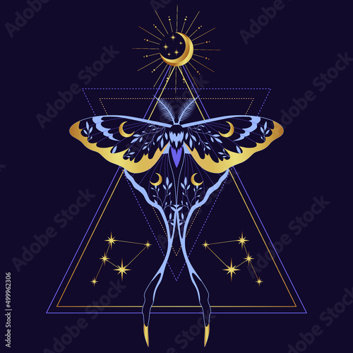 Purple vector illustration of moon moth. For print for T-shirts and bags, decor element. Mystical and magical, astrology illustration