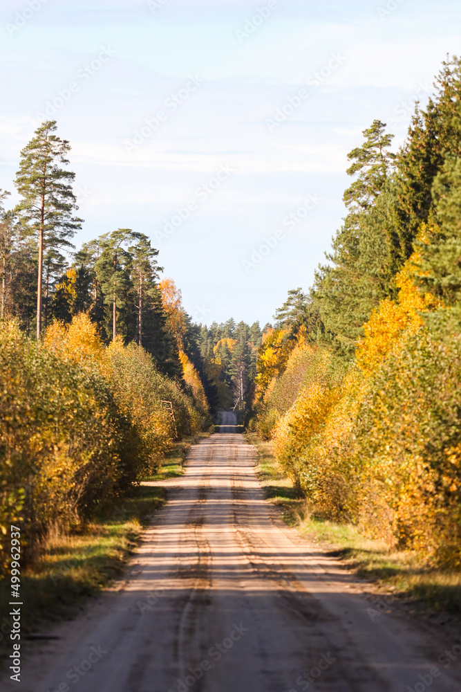 Beautiful autumn view of old gravel road through lovely view of shiny autumn forest in orange, yellow colors. Beautiful autumn view of old gravel road through lovely view of shiny autumn forest in orange, yellow colors.