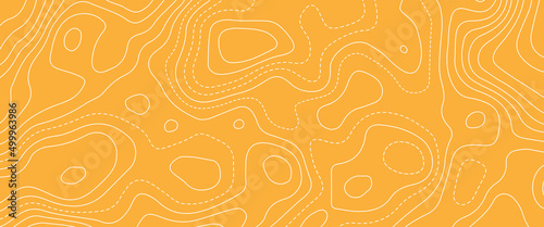 Map line of topography. Vector abstract topographic map concept with space for your copy, vector landscape geodesy topography map background. Line texture pattern, topographic multicolored linear	