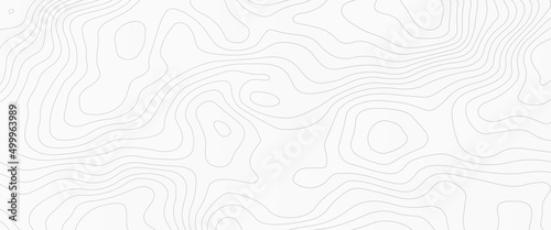 Vector contour topographic map background. Topography and geography map grid abstract backdrop, abstract concept graphic element and geography scheme. Contour maps. Vector illustration.	
