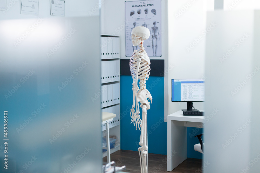 Obraz premium Side view of human skeleton model standing in empty hospital office with nobody in it ready for patient osteopathic examination. Anatomical body structure used as medical equipment. Medicine concept