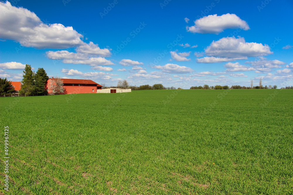 Green spring field, red farm in background under blue sky with white clouds. Green spring field, red farm in background under blue sky with white clouds.
