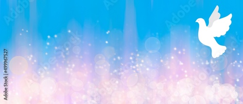 Banner astratto azzurro rosa con bokeh e colomba bianca. Pasqua, Pentecoste, Natale. Risveglio Spirituale 