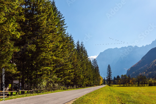 Eastern Europe, Logarska Valley photo