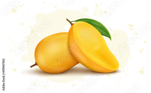 Ripe fresh Mango fruit  vector illustration with half pieces of mango
