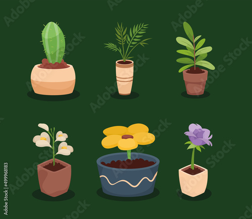 six houseplants decorative icons