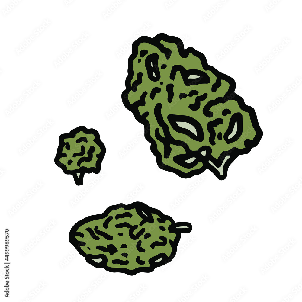 Vector illustration of marijuana buds isolated on white background. Vector illustration of marijuana buds isolated on white background.
