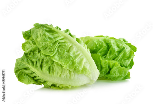 fresh baby cos (lettuce) on white background photo