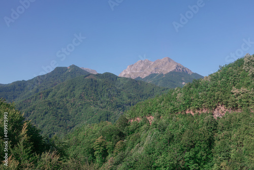 Sutton Mountains scenery . Forest growing on the mountains photo
