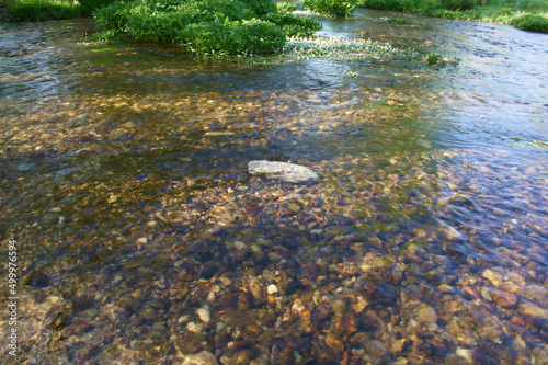 rzeka krajobraz widok woda natura przyroda