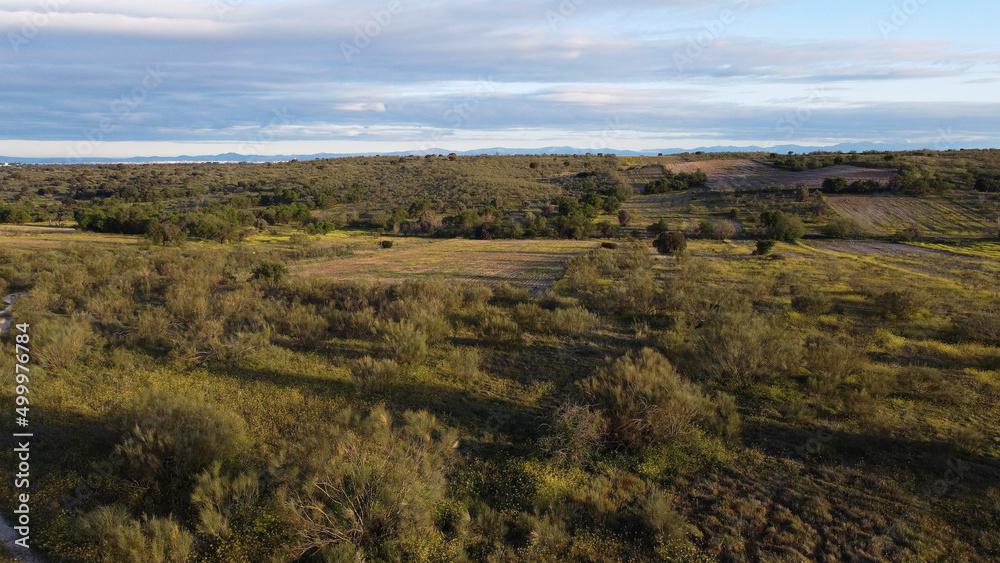 Fototapeta premium krajobraz widok pola wiosna rośliny 