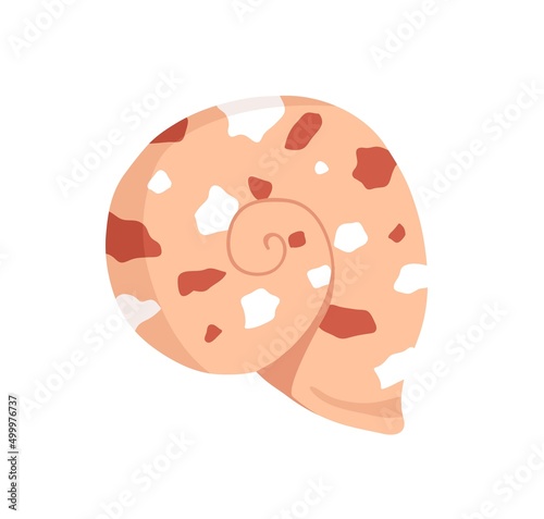 Snail sea shell. Marine underwater twisted seashell of spiral shape. Undersea...