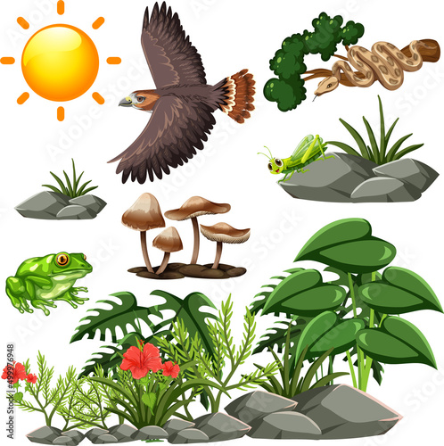 Set of wild animals and forest elements