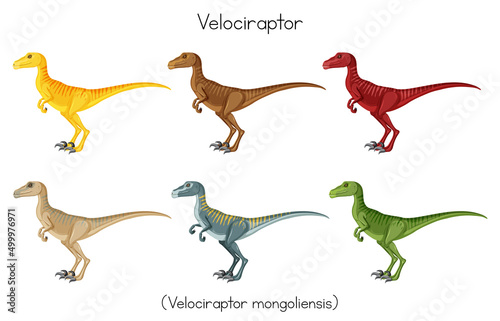 Velociraptor in different colors