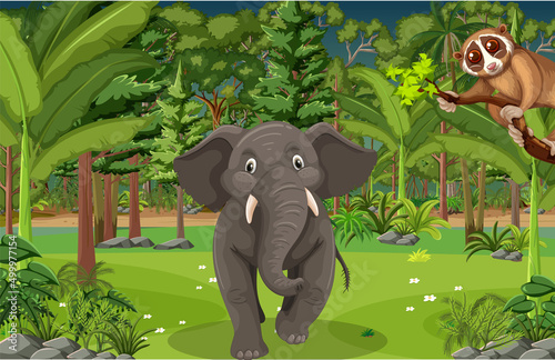 Forest scene with an elephant and loris