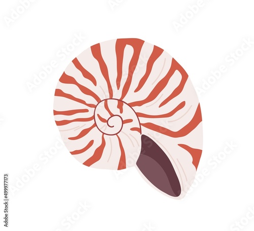 Snail seashell. Marine underwater swirled sea shell of round spiral shape. Undersea mollusc. Mollusk, shellfish. Under water bicolor striped clam. Flat vector illustration isolated on white background