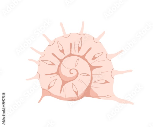 Sea shell with spikes. Spiral twirled seashell. Marine mollusc clam with thor...
