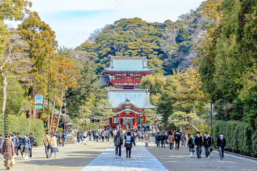 Photos 初春の鶴岡八幡宮　神奈川県鎌倉市　Tsurugaoka Hachimangu in early spring