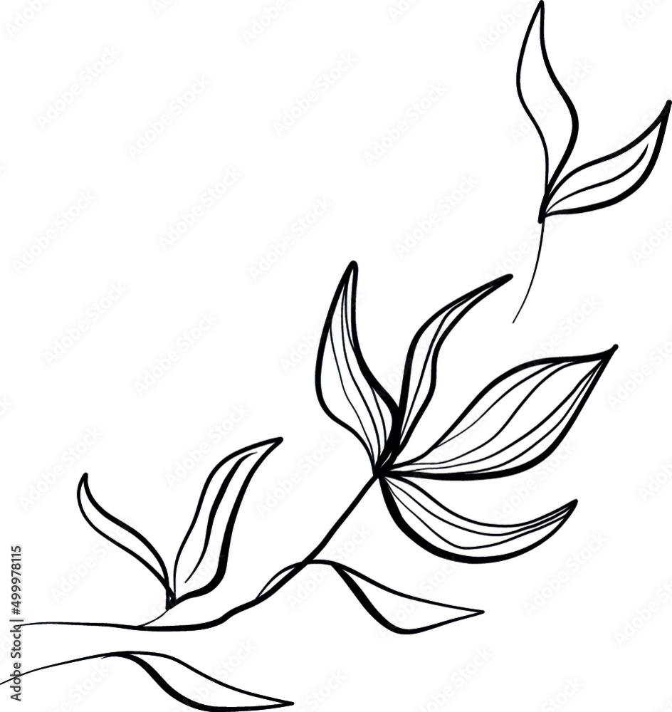 Obraz premium floral frame