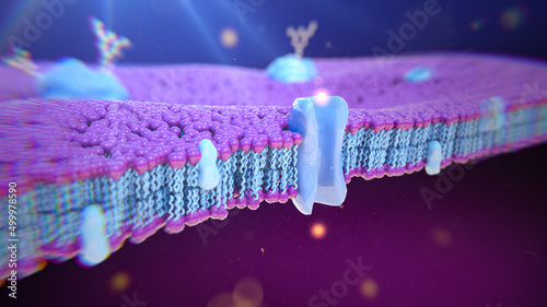 Transport across biological membranes, illustration photo