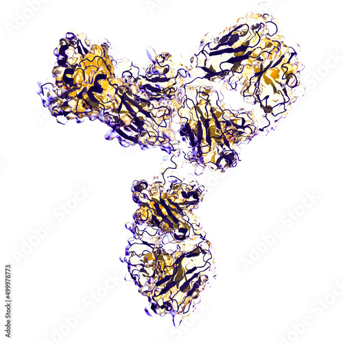 Antibody structure, illustration