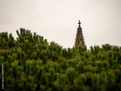 imagen de la punta de la iglesia de Carcassonne entre los árboles