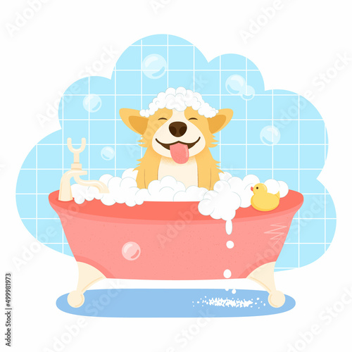 Cute welsh corgi dog character, takes a bubble bath. Dog washing service the grooming salon. Pet grooming concept. Cartoon flat vector illustration.