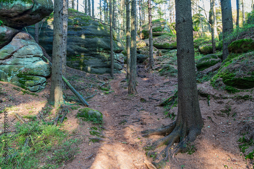 Forest with rocks and footpath in Broumovske steny in Czech republic