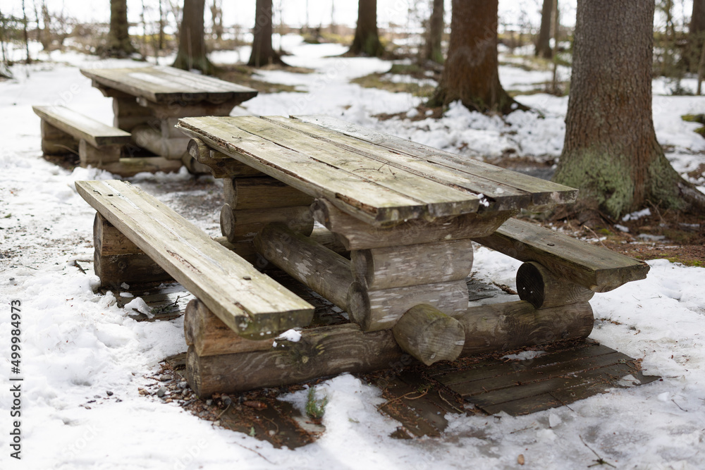 Table and bench group in snowy forest