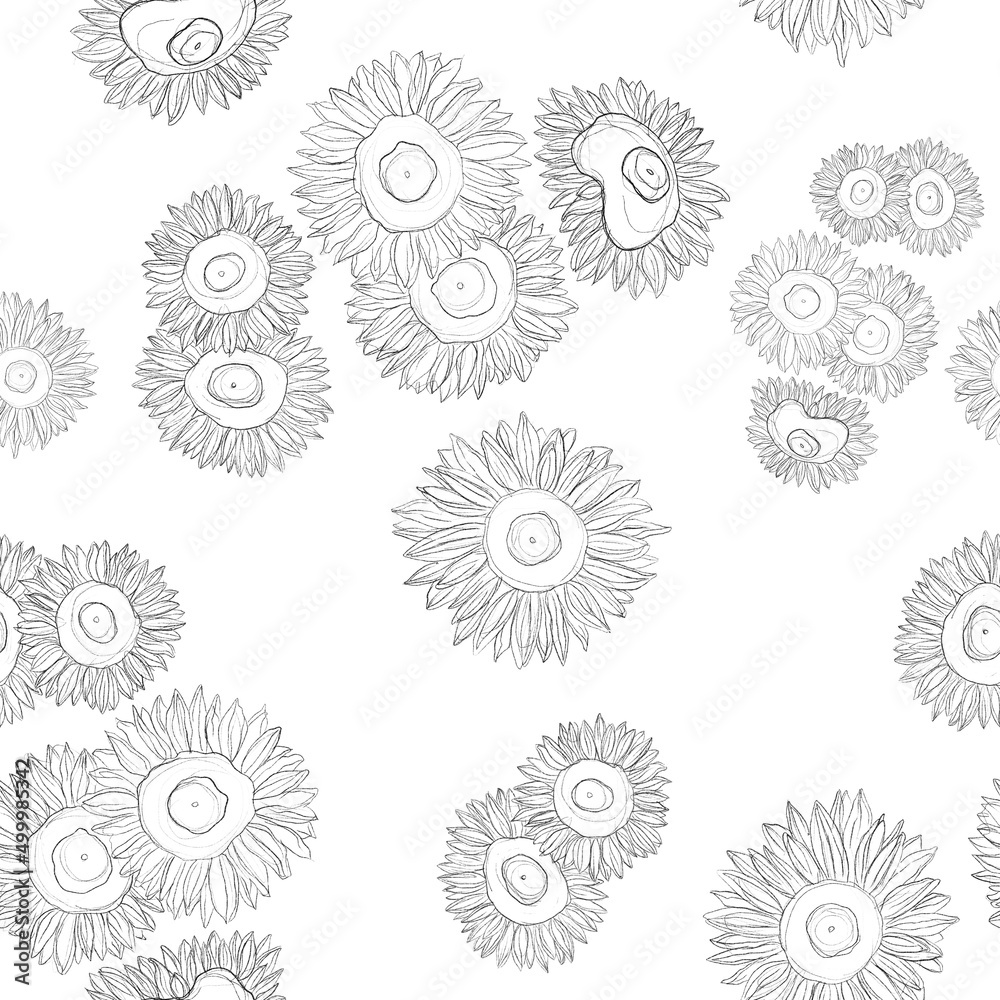 Seamless pattern with sunflowers. Sketch of sunflowers by lines. Black and white floral print. Pattern for wrapping paper, textiles.