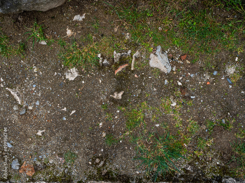 imagen textura de un suelo de tierra i césped con algunas piedras de distintos tamaños