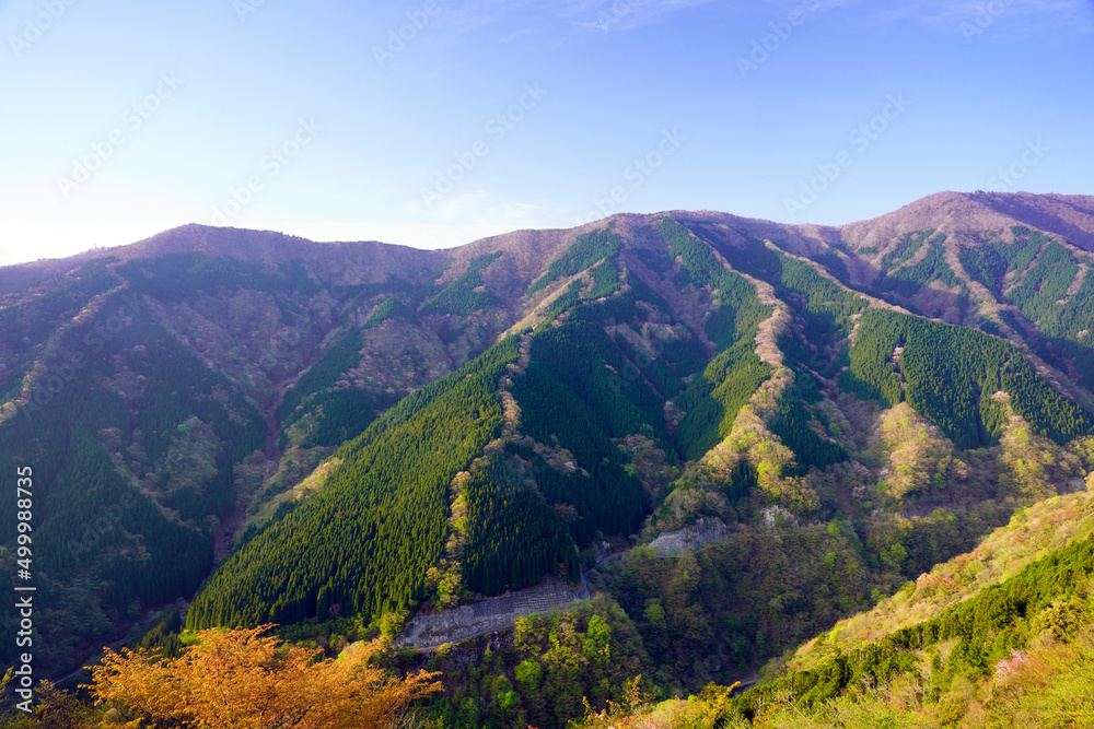 Obraz premium ナメゴ谷春風景