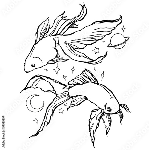 Vector pisces zodiac sign. Hand painted astrology card isolated on white background. Minimal line art illustration for design, print, fabric or background.