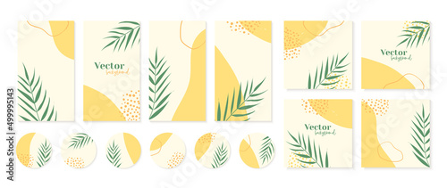 Minimal instagram stories templates, post feed, highlights icons in yellow colors with palm leaves. Abstract organic shapes, floral summer background with copy space for text
