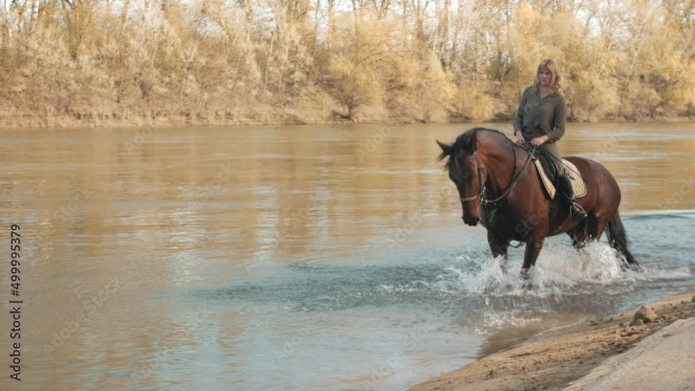 horse walks along river bank, in water, raises splashes, beautiful background, screensaver and footage. Outdoors, nature, lovely woman riding. spring horse walks along river bank, in water, raises splashes, beautiful background, screensaver and footage. Outdoors, nature, lovely woman riding. spring