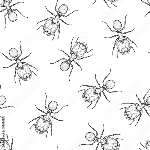 Seamless pattern of monochrome ants illustration. Vector illustration template