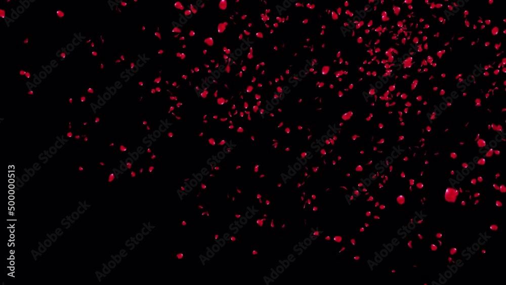 Red Rose Petals Fall with alpha Channel. Element footage place on footage or background. Red Rose Petals Fall with alpha Channel. Element footage place on footage or background.