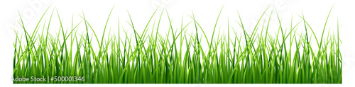 Realistic green grass. Natural field seamless border
