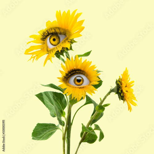 Funny bush. Yellow camomile flowers with an eye inside it on light background. Modern design. Contemporary art. Beauty, art, vision, fashion. Surrealism