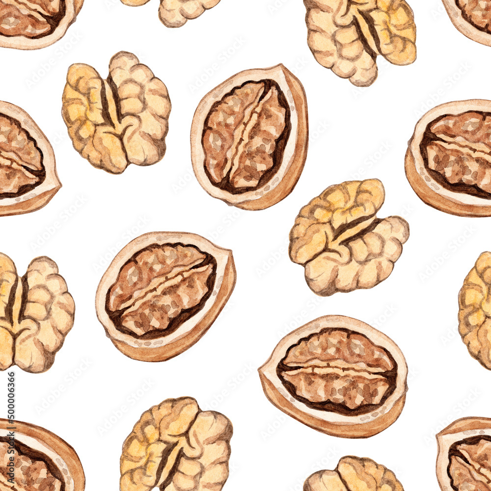 Watercolor walnut seamless pattern on white Watercolor walnut seamless pattern on white
