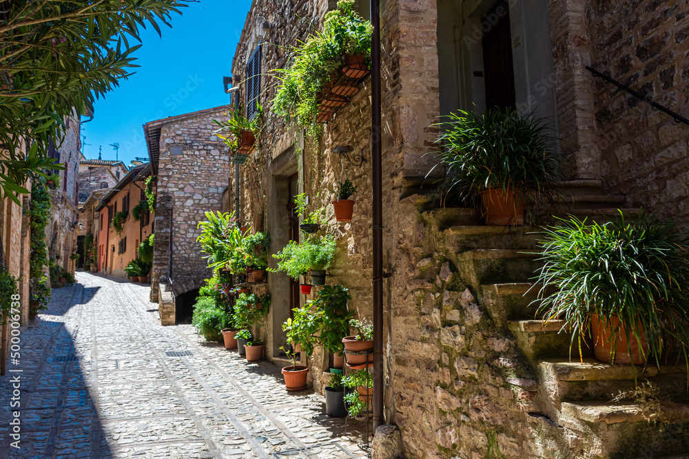 Fototapeta premium Beautiful medieval street with flowers and plants in the historic center of Spello, Umbria Italy