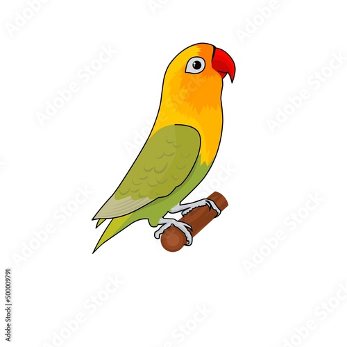Lovebird vector graphic illustration. Yellow love bird on a white background. Perfect for bird club logos.