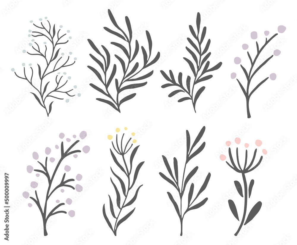 Botanical branches set. Decorative floral print elements Botanical branches set. Decorative floral print elements