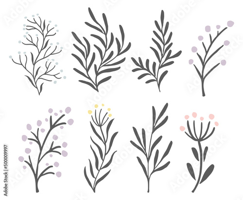 Botanical branches set. Decorative floral print elements