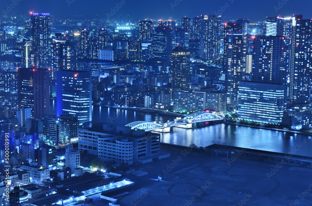 Naklejka premium カレッタ汐留から見る汐留の夜景と勝鬨橋